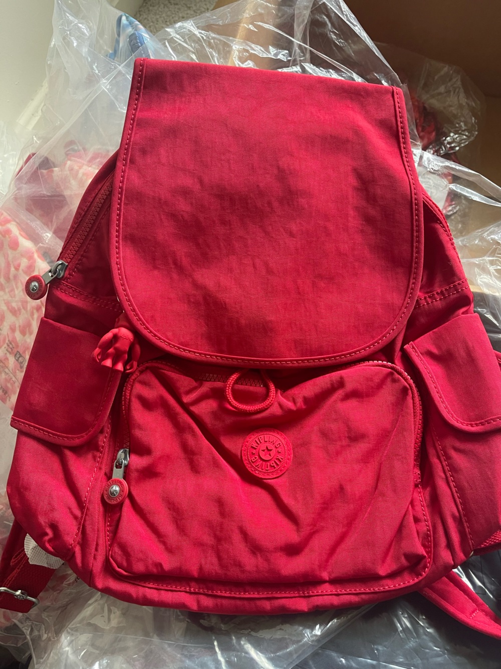 Kipling Bag